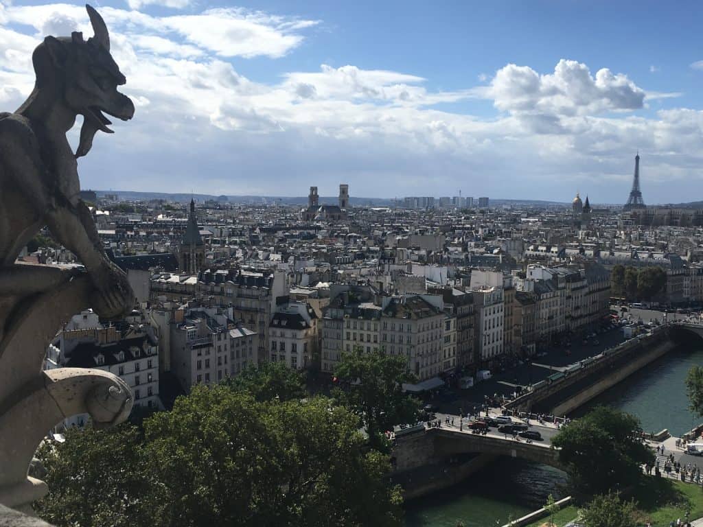 View of Paris from Notre Dame cathedral