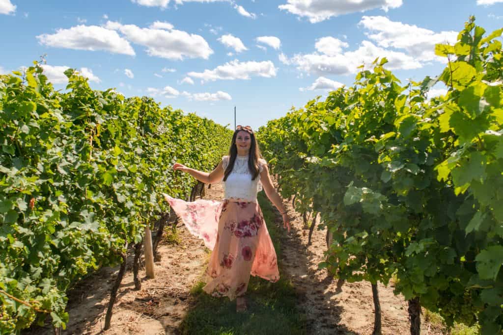 Trius Winery Vineyard Niagara On The Lake