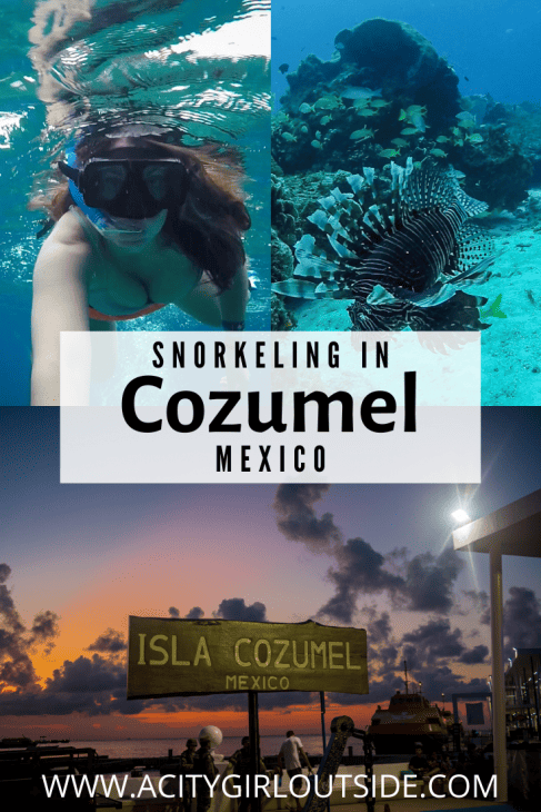SNORKELING COZUMEL