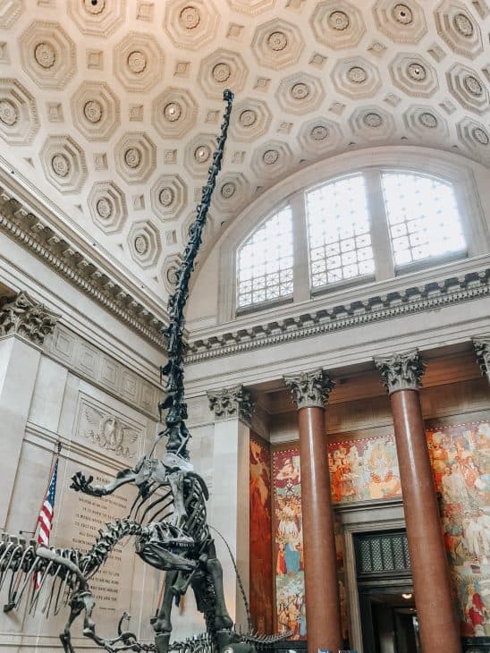 Entry Hall with Dinosaur exhibits