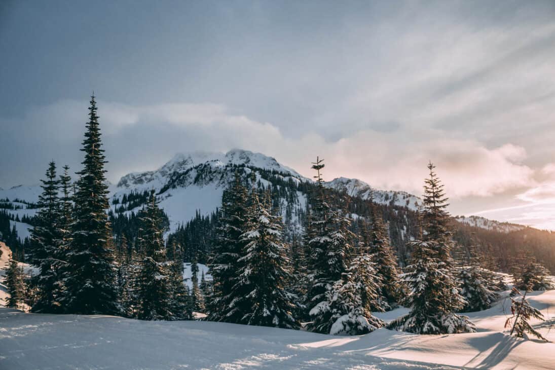 Whistler Winter Landscape