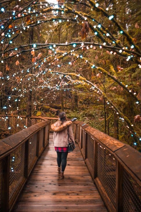 The living Forest Walk aims to teach guests about the temperate rainforest and the species that live there