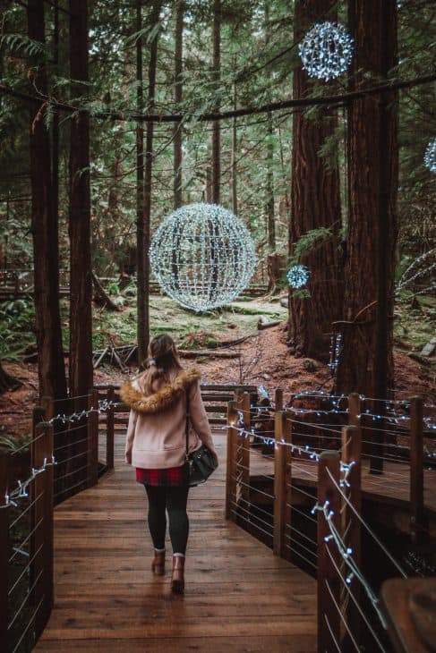 The Living Forest Walk at Capilano Suspension Bridge