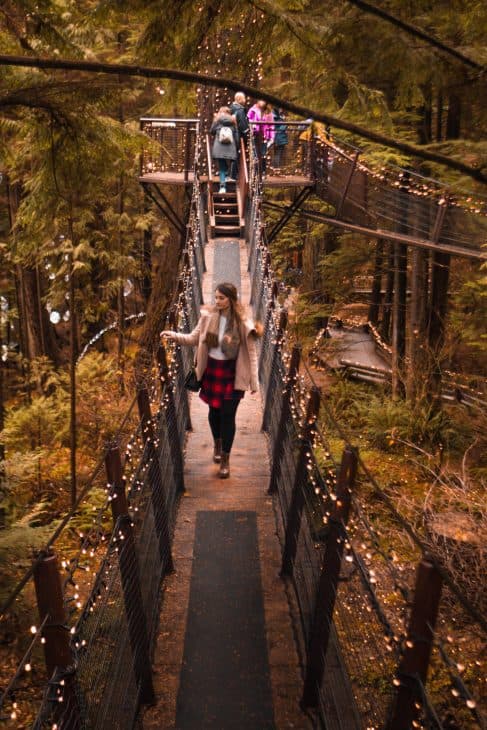 The treetop Adventure is a collection of 7 suspension bridges that are connected by Douglas Fir trees