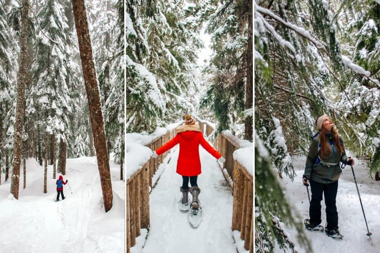 Where To Go Snowshoeing In Whistler [2024]