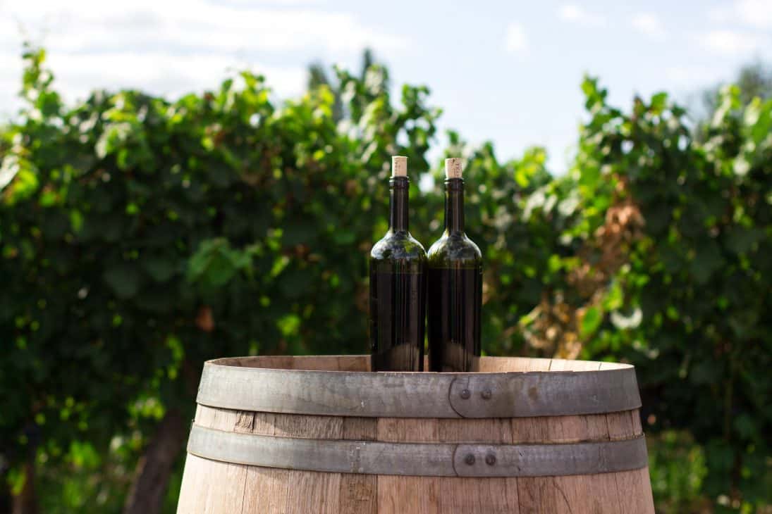 The Okanagan and Niagara regions are famous for their Ice Wines in the winter, Canada is the biggest producer in the world for Ice Wine making this the perfect Canadian gift to take home