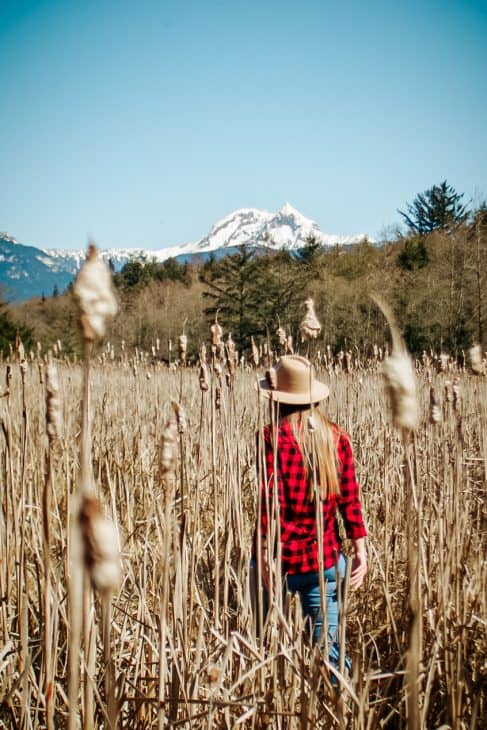 Views of Mount Garibaldi from the Squamish Estuary Nature trail