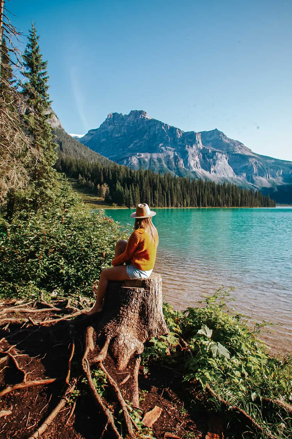 Rachael sitting on a tree stump at Emerald Lake in Yoho National Park, Canada.