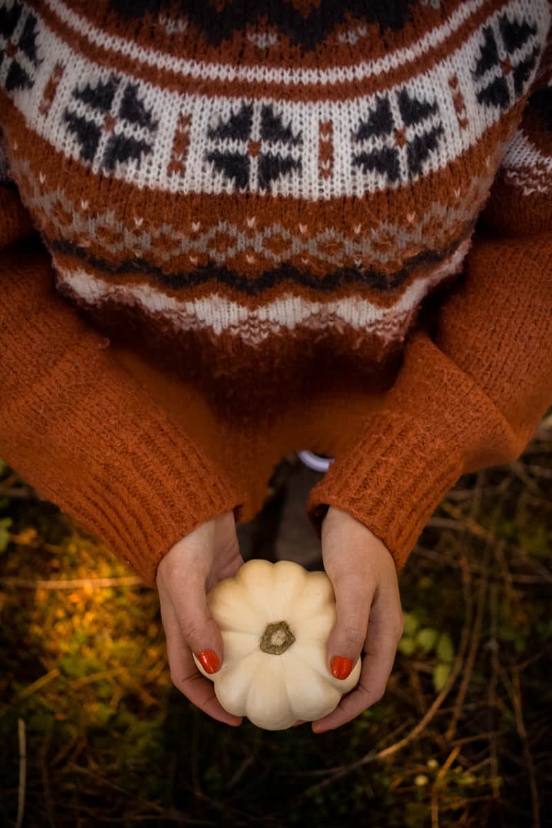 Forest Pumpkin Above Shot