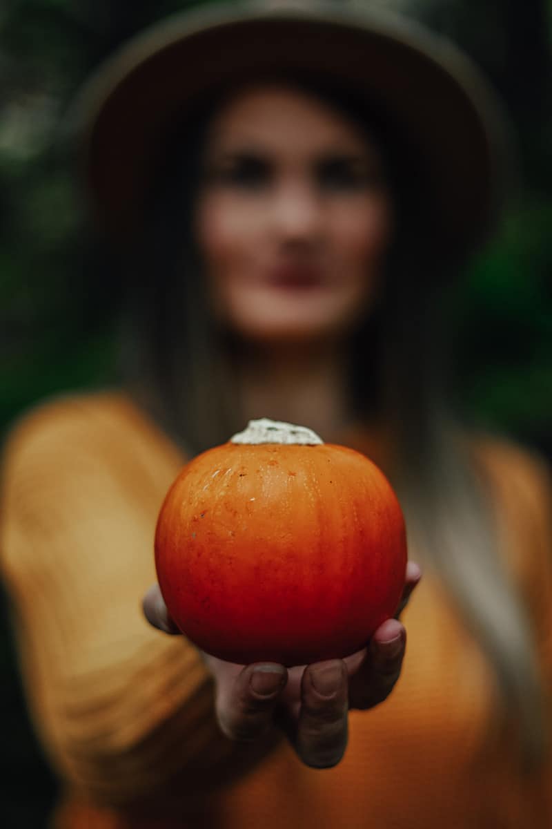 Pumpkin Close Up Photo