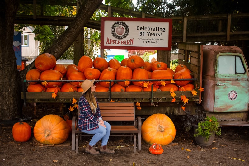 Pumpkin Patch Truck Shot
