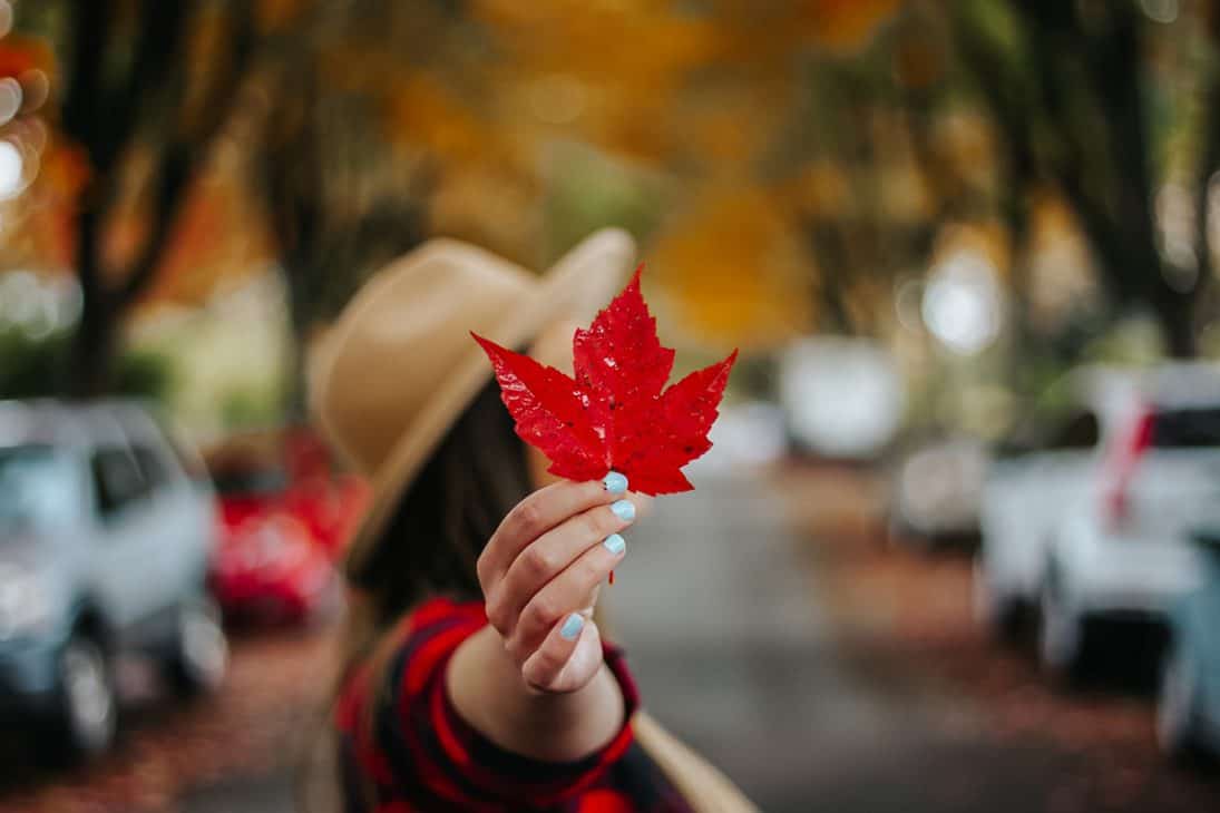 Vancouver Maple Leaf Photo