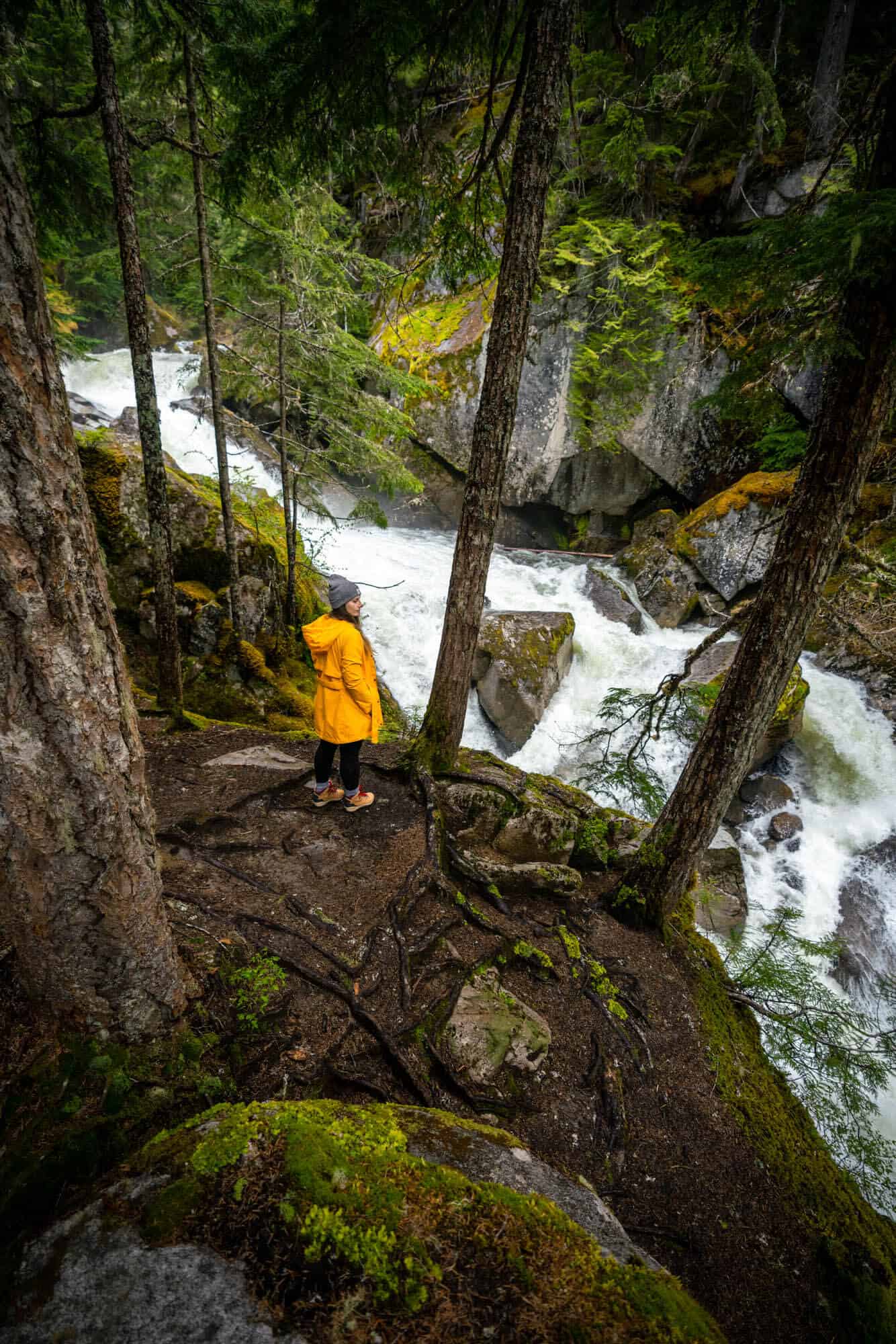 Rainbow Falls Trail Whistler Waterfall British Columbia Canada