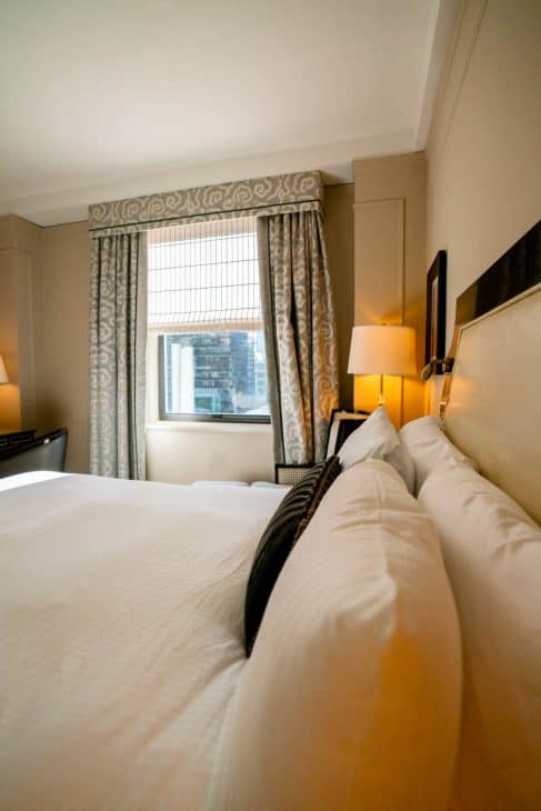 Fairmont queen room. 