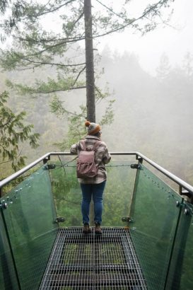 29 BEST Things To Do In Vancouver In Winter