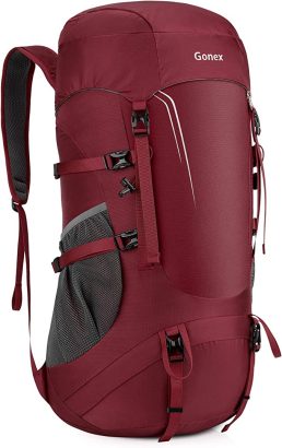 gonex45l