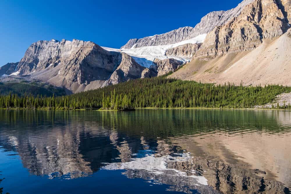 Crowfoot Glacier