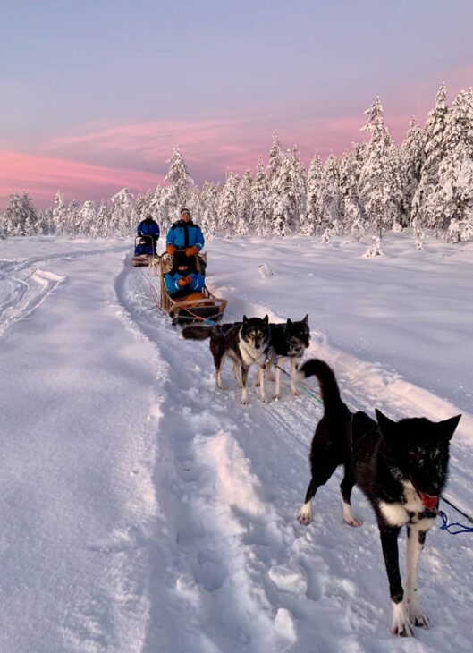 Photo of a dog sled being pulled in a winter landscape at sunset.