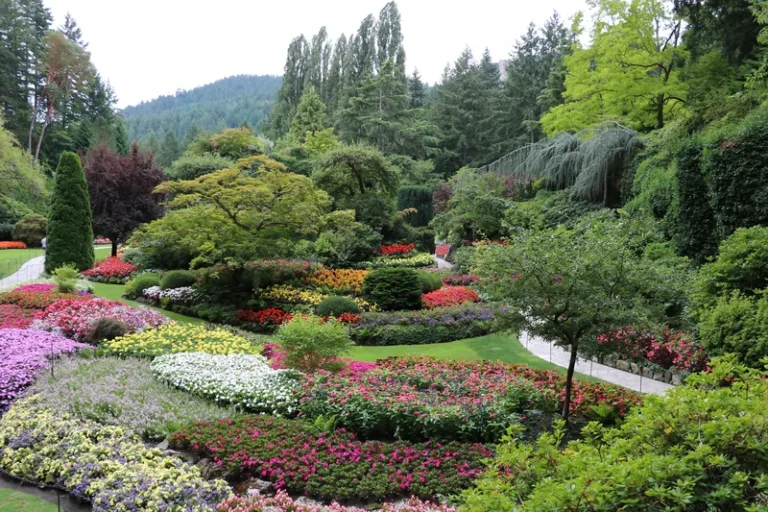 2 Days in Victoria, BC – The Perfect Weekend Itinerary