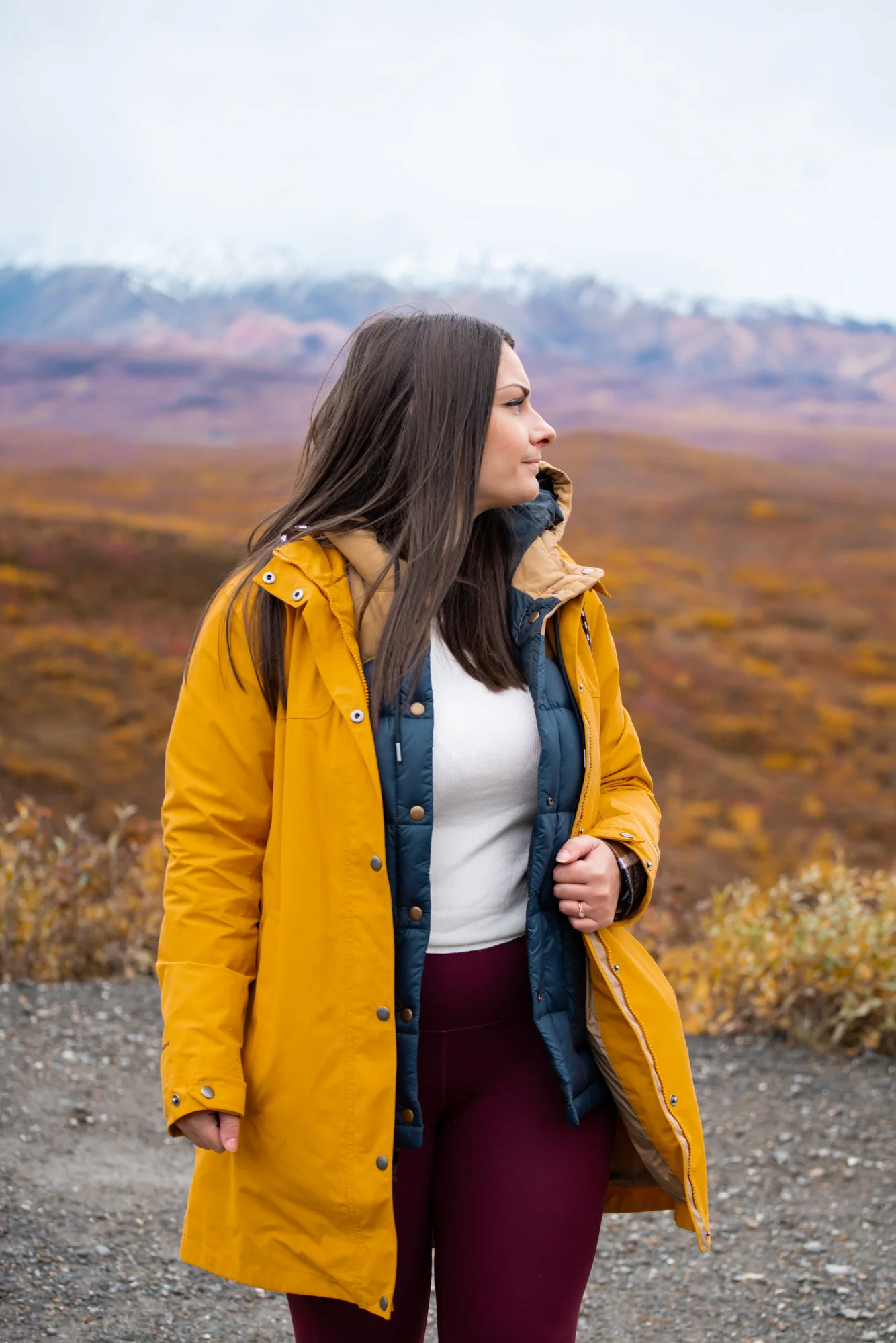 The Tundra tour is one of the best things to do during your one day in Denali National Park. 
