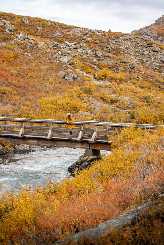 Rachael on a bridge overlooking the Savage River in Denali National Park, Alaska. 