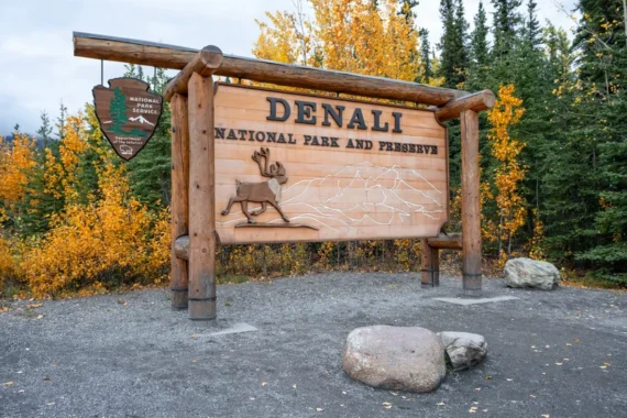 How To Spend One Day In Denali National Park Itinerary