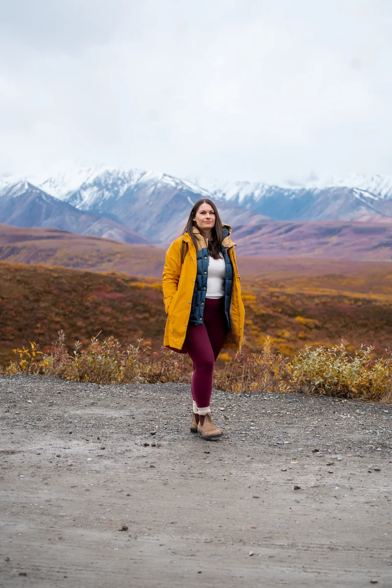 Mile 43 of Denali National Park - this is where the tour busses will turn around. 